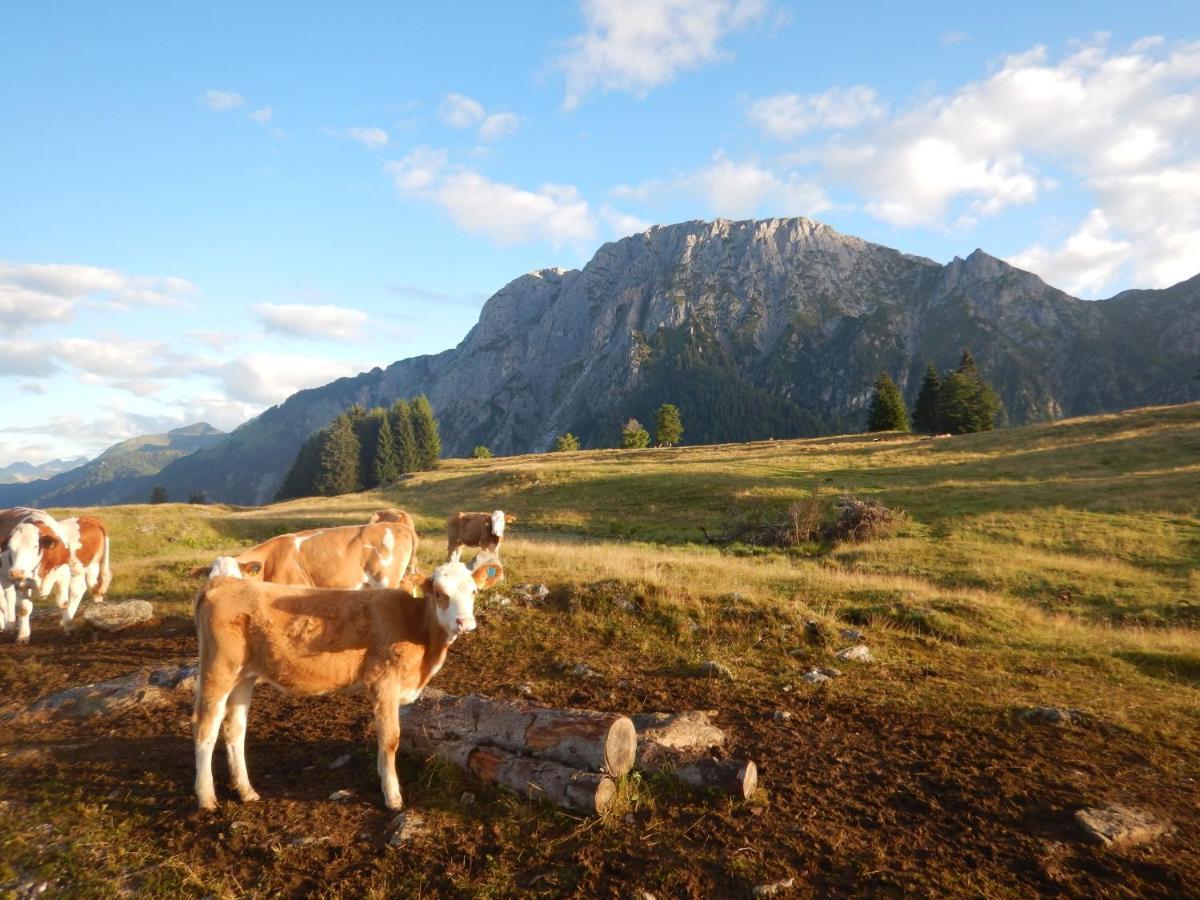 Ferienwohnungen Forellenhof Waldner Gundersheim Luaran gambar